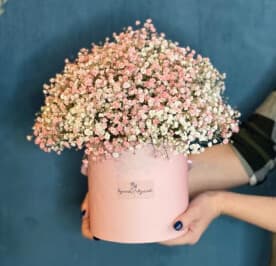 Миниатюра 4