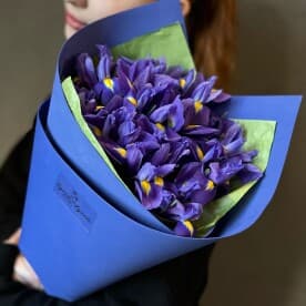 Миниатюра 1