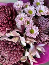 Миниатюра 3