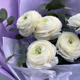 Миниатюра 4