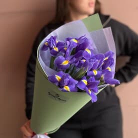 Миниатюра 3