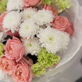 Миниатюра 3