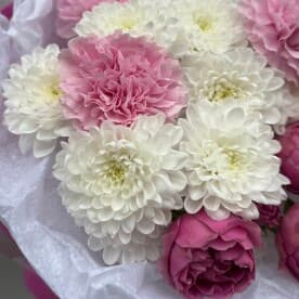 Миниатюра 3