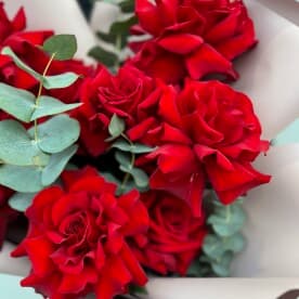 Миниатюра 4