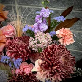 Миниатюра 6