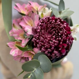 Миниатюра 2