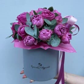 Миниатюра 3