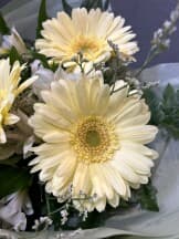 Миниатюра 3