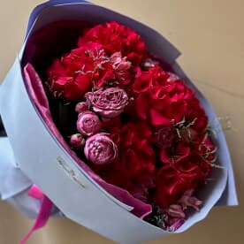 Миниатюра 3