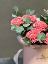 Миниатюра 4