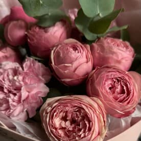 Миниатюра 2