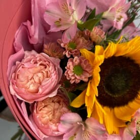 Миниатюра 2