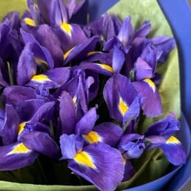 Миниатюра 3