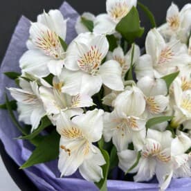 Миниатюра 4