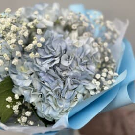 Миниатюра 6