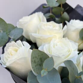 Миниатюра 3