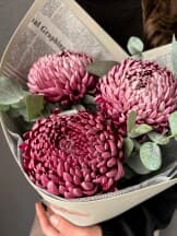 Миниатюра 4