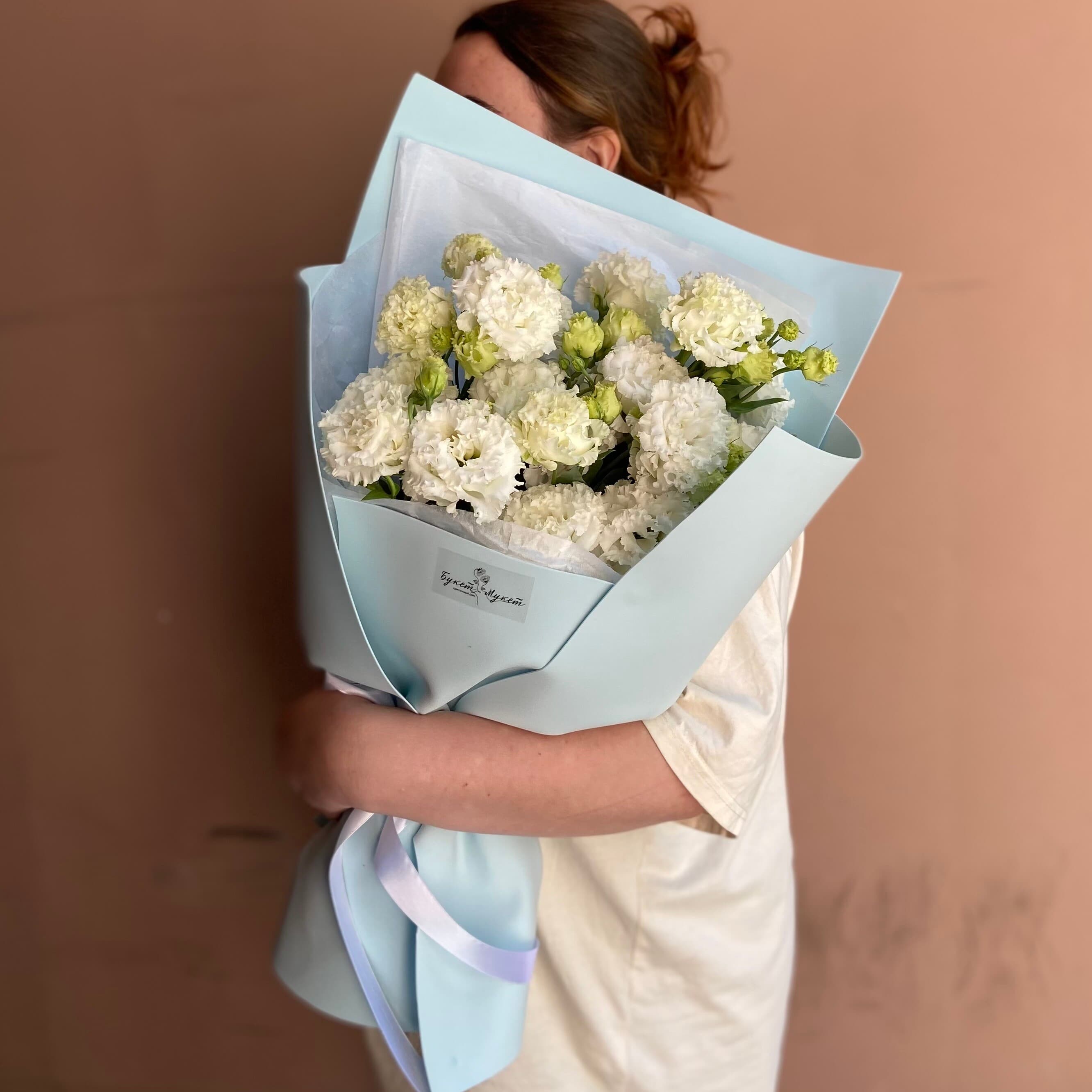 «Алиса» PETRO