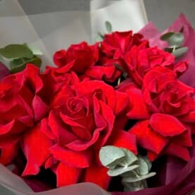 Миниатюра 3