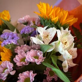 Миниатюра 4