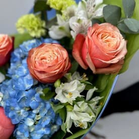 Миниатюра 5