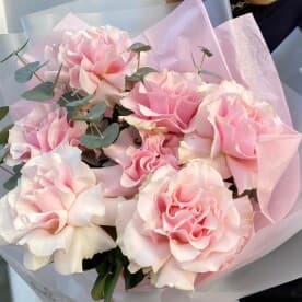 Миниатюра 3