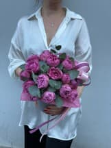 Миниатюра 3