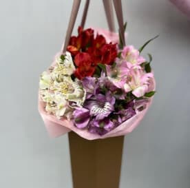 Миниатюра 4