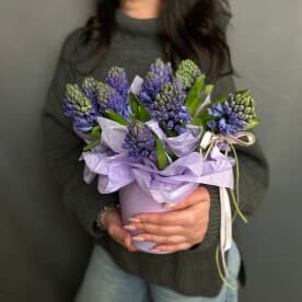 Миниатюра 3