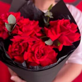 Миниатюра 3