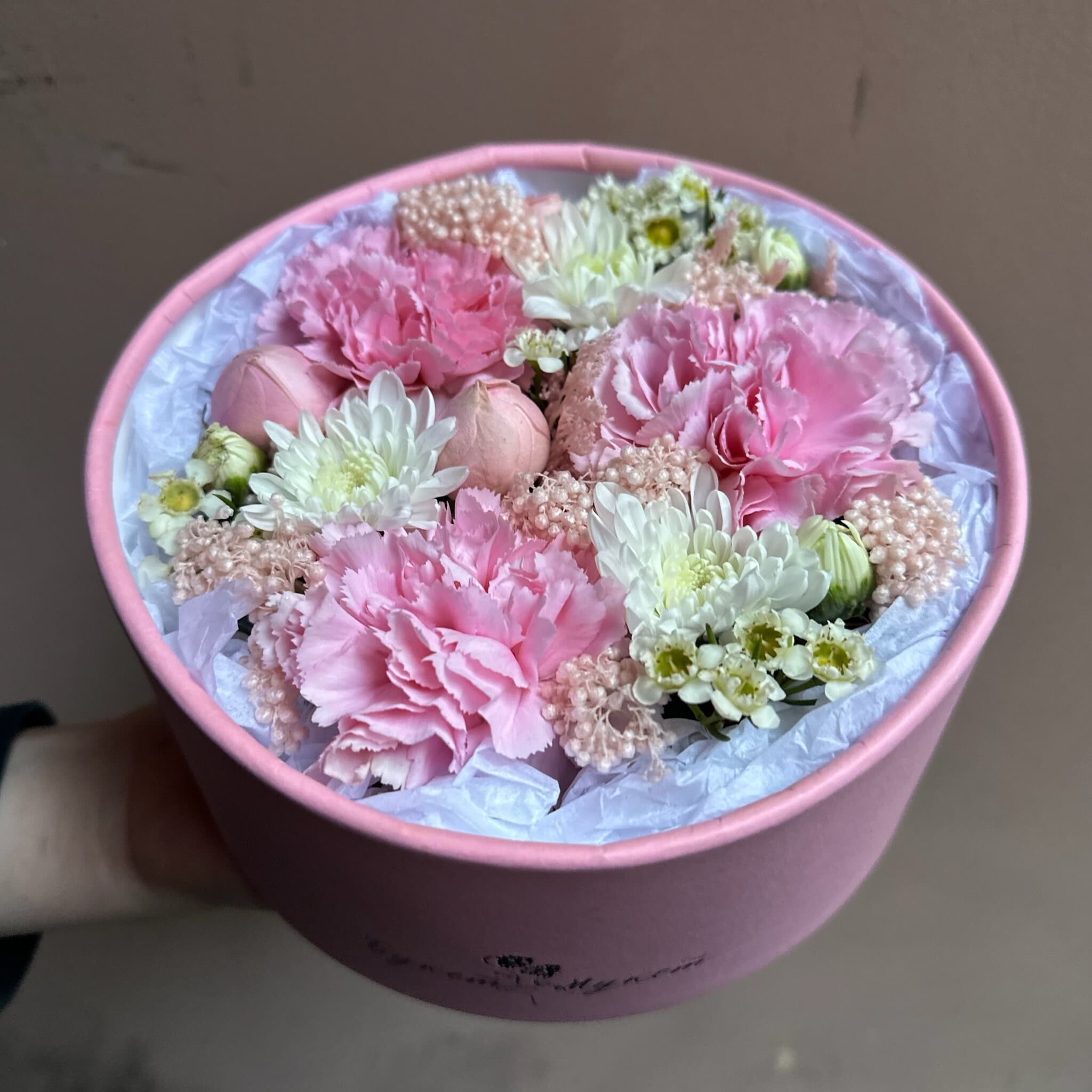 «Macaron» PETRO
