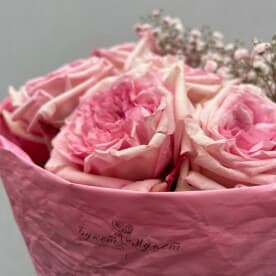 Миниатюра 5