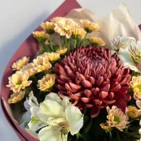 Миниатюра 2