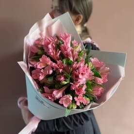 Миниатюра 1