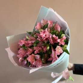 Миниатюра 5