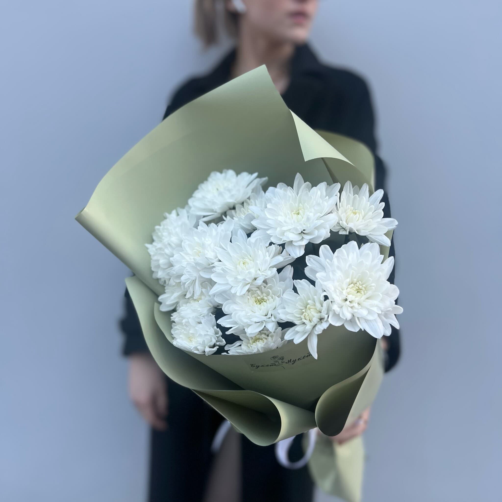 «Балтика в зеленом» SENO