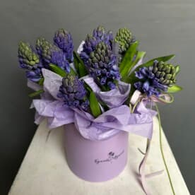 Миниатюра 5