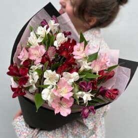 Миниатюра 1