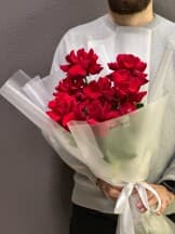 Миниатюра 1