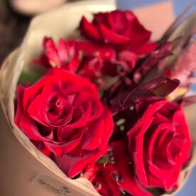 Миниатюра 4