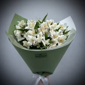 Миниатюра 3