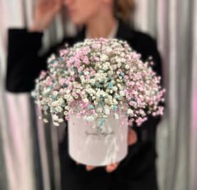 Миниатюра 3