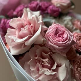 Миниатюра 4