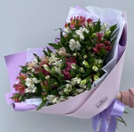 Миниатюра 3