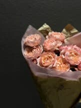 Миниатюра 5