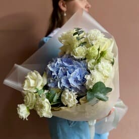 Миниатюра 1