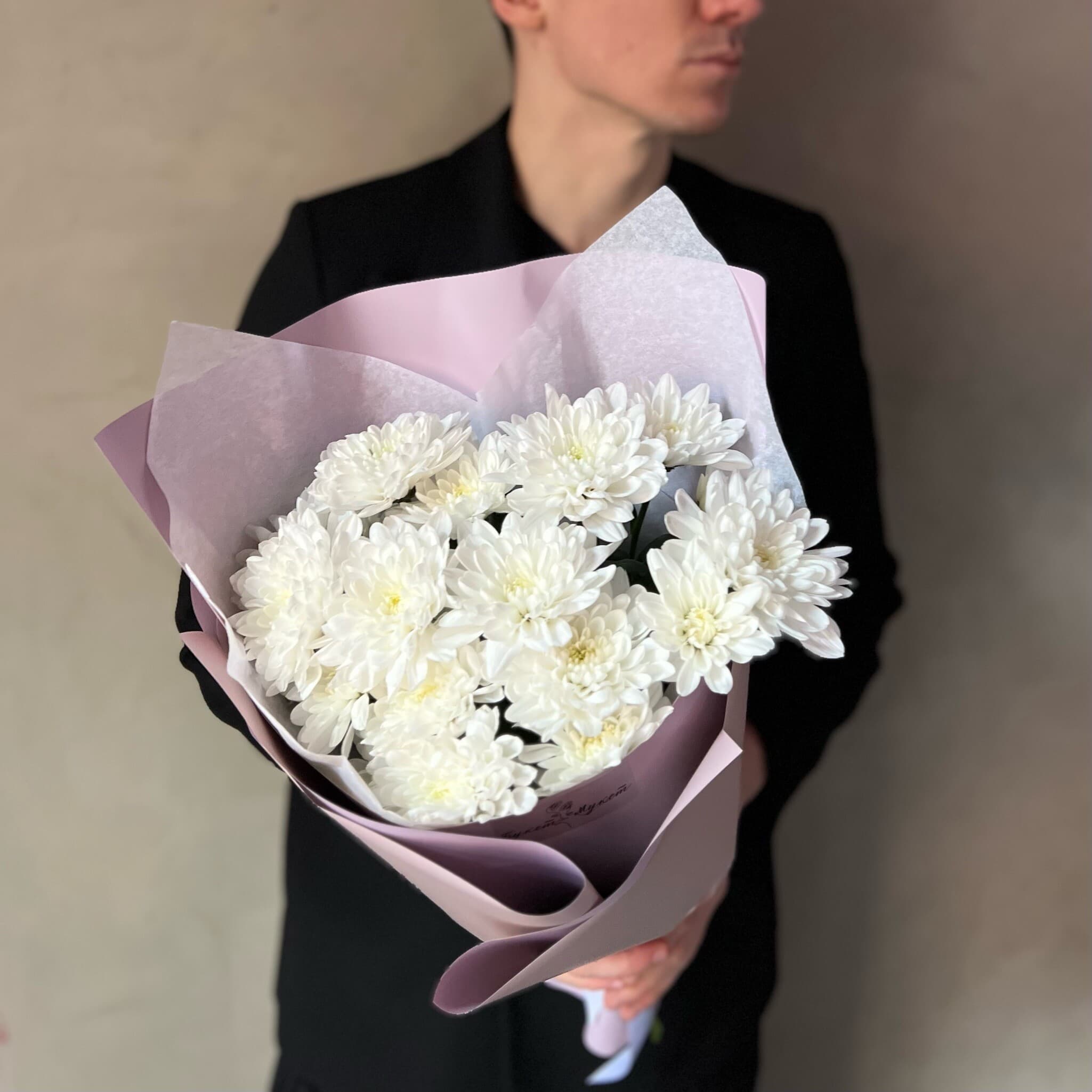 «Балтика в розовом» SENO