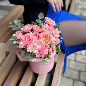 Миниатюра 5