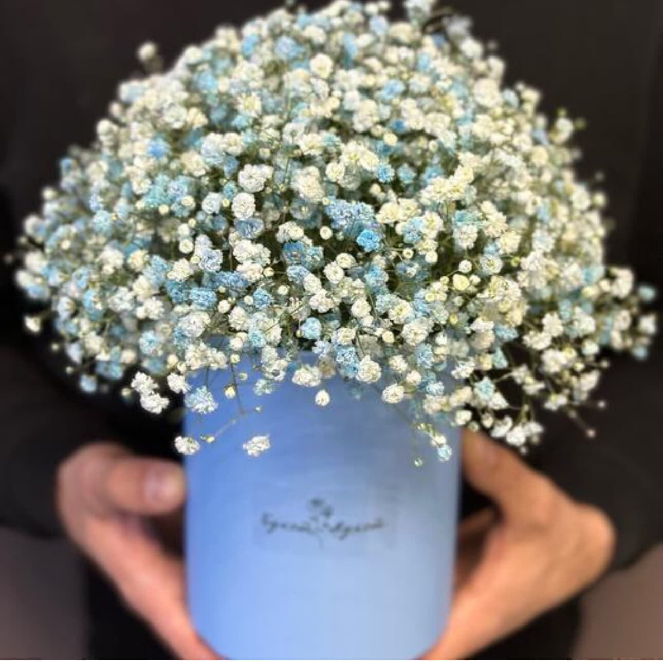 Коробка «Марс» PETRO