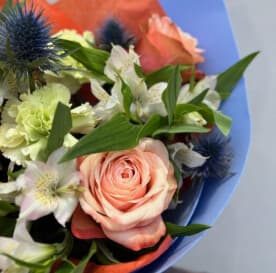 Миниатюра 4